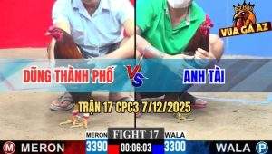 Trận 17 CPC3 7/12/2025 - Điều Đá Chân Hiểm Que Mặt Lọ Giãy Chết