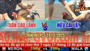 Trận 18 CPC5 24/12/2025 - Gà Điều Siết Cây Cần Hạ Xám Son Anh Tuấn