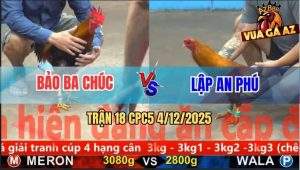 Trận 18 CPC5 4/12/2025 - Khét Đuôi Lao Anh Lập Đá Điều Đứng Thở OXY