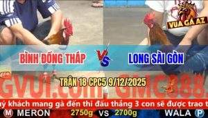 Trận 18 CPC5 9/12/2025 - Điều Lá Đâm Mu Lưng Điều Bồng Té Cắm Đầu