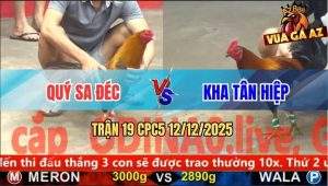 Trận 19 CPC5 12/12/2025 - Gà Khét Anh Quý Sa Đéc Đem Cựa Như Chỉa