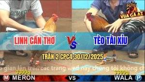 Trận 2 CPC4 30/12/2025 - Điều Cọp Anh Tèo Một Sút Gà Cú Nằm Bại Liệt