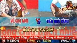 Trận 2 CPC5 5/12/2025 - Điều Thái Mỹ Anh Vũ Bú Cây Lưng Xanh Ra Si Rô
