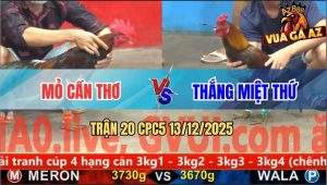 Trận 20 CPC5 13/12/2025 - Anh Thắng Miệt Thứ Đi 3 Con Gãy Cặp Rưỡi