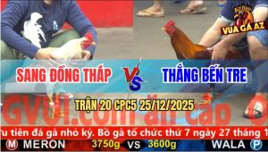 Trận 20 CPC5 25/12/2025 - Thắng Bến Tre Đi 2 Con Bay Bồ Nguyên Cặp