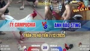 TRAN 20 HA TIEN 7122025