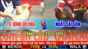 Trận 21 CPC5 23/12/2025 - Bướm Lùa Đá 1 Hới Xách Điều Về Chôn Mau Lẹ