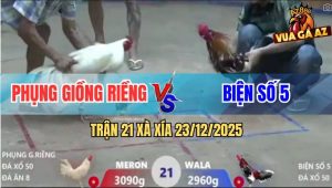 Trận 21 Xà Xía 23/12/2025 - Úa Đâm Điều Bông Té Không Rớt Cọng Lông
