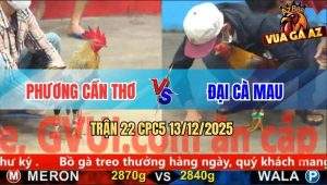 Trận 22 CPC5 13/12/2025 - Gà Xám Anh Đại Nắm Đầu Tiễn Chuối Lên Đường