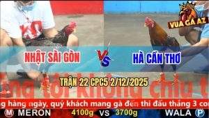 Trận 22 CPC5 2/12/2025 - Xám Cú Anh Nhật Hơn 4 Chấm, Đá Điều Tắt Thở