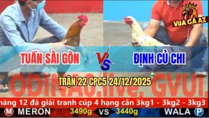 Trận 22 CPC5 24/12/2025 - Gà Khét Anh Tuấn Đâm Gà Bướm Như Cái Rổ