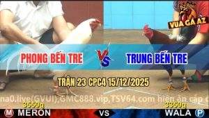 Trận 23 CPC4 15/12/2025 - Bướm Anh Phong Bến Tre Đá Toàn Đâm Đầu Cần