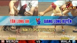 Trận 23 CPC4 17/12/2025 - Úa Thái Mỹ Đâm Xám Sụm Tỳ Bay Bồ Kêu Miệng