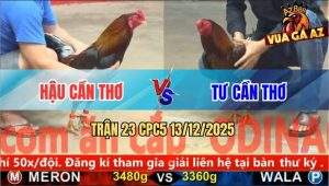 Trận 23 CPC5 13/12/2025 - Điều Đuôi Lao Té Giả Đá Tang Đưa Biện Ra Đảo