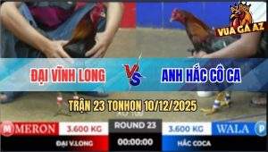 Trận 23 TonHon 10/12/2025 - Anh Đại Và Anh Hắc Không Phân Thắng Bại