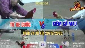Trận 24 Xà Xía 29/12/2025 - Bướm Anh Kiểm Kém 8 Chấm Đá Bự Tốc Chạy
