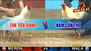 Trận 25 CPC4 17/12/2025 - Úa Hiệu Anh Ton Đụng Cọp Bưng Ra Mau Lẹ