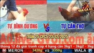 Trận 25 CPC5 23/12/2025 - Gà Úa Anh Tư Nuốt Ói Đứng Cầm Hơi Lụm Tiền