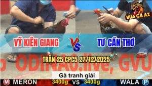 Trận 25 CPC5 27/12/2025 - Xanh Bông Anh Tư Dính Cây Hang Cua Chết Tươi