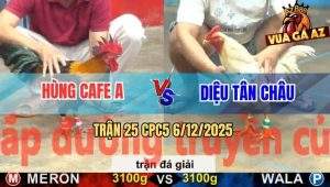 Trận 25 CPC5 6/12/2025 - Anh Hùng Cafe A Gặp Anh Diệu Tân Châu