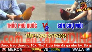 Trận 27 CPC5 27/12/2025 - Điều Xanh Bóp Vô Đá Cái Bo Muốn Sập Bồ