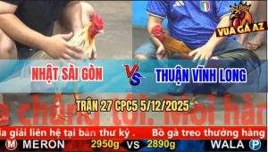 Trận 27 CPC5 5/12/2025 - Gà Điều Anh Thuận Đá Toàn Đâm Đầu Cần