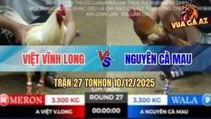 Trận 27 TonHon 10/12/2025 - Anh Việt Vĩnh Long Gặp Anh Nguyên Cà Mau