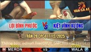 Trận 28 CPC4 17/12/2025 - Bướm Anh Kiệt Đâm Gà Khét Lên Bờ Xuồng Ruộng