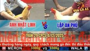 Trận 29 CPC5 4/12/2025 - Gà Úa Anh Lập Đâm Khét Simon Tơi Bời Hoa Lá