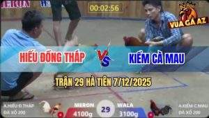 TRAN 29 HA TIEN 7122025