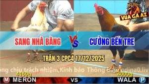 Trận 3 CPC4 17/12/2025 - Điều Vàng Mặt Râu Anh Cường Đâm Đâu Dính Đó