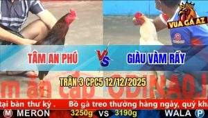 Trận 3 CPC5 12/12/2025 - Phút 90 Gà Bướm Anh Giàu Hết Pin Bung Bồ Chạy