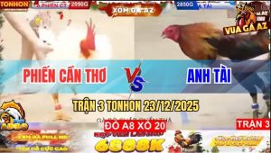 Trận 3 TonHon 23/12/2025 - Que Cọp Anh Tài Đâm Cựa Như Máy Chém