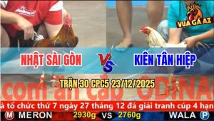 Trận 30 CPC5 23/12/2025 - Bướm Anh Kiên Nhấc Chân Là Có Kết Quả
