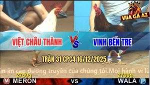Trận 31 CPC4 16/12/2025 - Bướm Anh Việt Đá Toàn Đầu Cần Điều Khó Sống