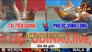 Trận 31 CPC5 27/12/2025 - Vàng Anh Tài Vô Ẩu Xám Để Cây Sặc Tím Mặt