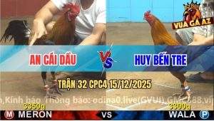 Trận 32 CPC4 15/12/2025 - Điều Chân Xanh Anh An Đâm Cựa Quá Tịch