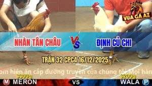Trận 32 CPC4 16/12/2025 - Úa Anh Định Kẹp Vô Đúng Điểm 10 Khét Súc Sên