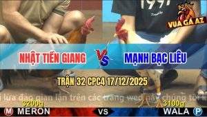 Trận 32 CPC4 17/12/2025 - Điều Anh Nhật Táng Chân Hiểm Gà Bướm Tắt Thở