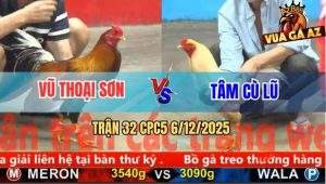 Trận 32 CPC5 6/12/2025 - Gà Úa Anh Tâm Cù Lũ Chấp Ngông Đụng Ngay Cọp