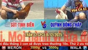 Trận 32 CPC5 8/12/2025 - Bướm Anh Quỳnh Đâm Gà Vàng Nhuộm Đỏ Sàn Đấu