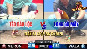 Trận 33 CPC3 28/12/2025 - Bướm Anh Tèo Có Chân Xạo Lờ, Điều Phun Sơn