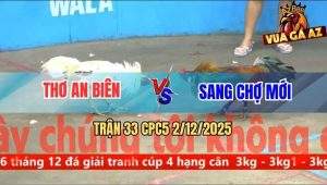 Trận 33 CPC5 2/12/2025 - Gà Điều Anh Sang Vô Nước Khuya Đá Bo Quá Lực
