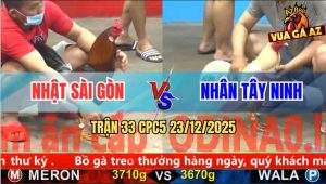 Trận 33 CPC5 23/12/2025 - Điều Tích Vôi Anh Nhật Dập Như Cái Máy