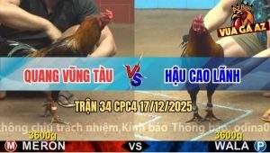 Trận 34 CPC4 17/12/2025 - Que Mặt Râu Anh Quang Hay Mà Dính Chân Xui
