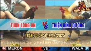 Trận 35 CPC4 17/12/2025 - Xám Anh Thiện Đá Que Phun Sơn Trong Nốt Nhạc