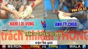 Trận 36 CPC5 6/12/2025 - Anh Nam Lai Vung Gặp Anh Tý Chùa