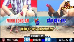Trận 37 CPC3 28/12/2025 - Điều Anh Gấu Bú Bướm Má Minh Đứng Cứng Người