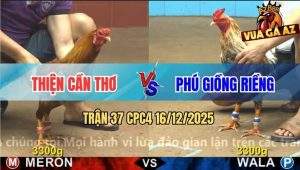 Trận 37 CPC4 16/12/2025 - Anh Thiện Và Anh Phú Cân Tài Cân Sức