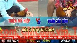 Trận 37 CPC5 5/12/2025 - Xanh Dí Bạc Đỏ Kẹp Vô Đâm Xanh Ói Tiền